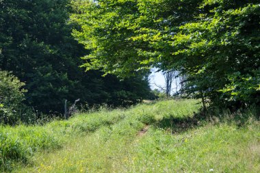 Bulgaristan 'ın Pernik Bölgesi, Kamenititsa zirvesi yakınlarındaki Erul dağının yaz manzarası