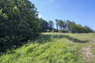 Bulgaristan 'ın Pernik Bölgesi, Kamenititsa zirvesi yakınlarındaki Erul dağının yaz manzarası