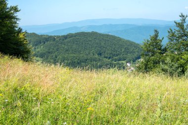 Bulgaristan 'ın Pernik Bölgesi, Kamenititsa zirvesi yakınlarındaki Erul dağının yaz manzarası