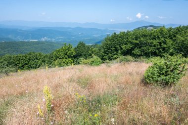 Bulgaristan 'ın Pernik Bölgesi, Kamenititsa zirvesi yakınlarındaki Erul dağının yaz manzarası