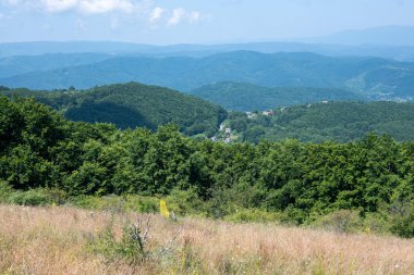 Bulgaristan 'ın Pernik Bölgesi, Kamenititsa zirvesi yakınlarındaki Erul dağının yaz manzarası
