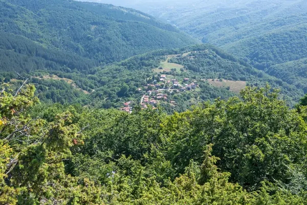 Letni Krajobraz Góry Erul Pobliżu Szczytu Kamenititsa Obwód Pernicki Bułgaria — Zdjęcie stockowe