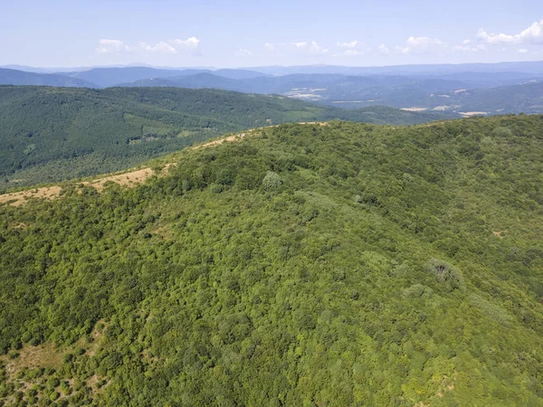 Paysage Estival Incroyable Montagne Rudina Région Pernik Bulgarie — Photo