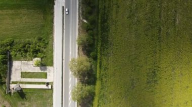 Bulgaristan 'ın Filibe Bölgesi' nin Kostievo köyü yakınlarındaki Blooming tecavüz tarlasının hava manzarası