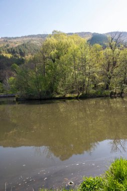 Bulgaristan 'ın başkenti Sofya' nın Pancharevo Gölü yakınlarındaki Iskar Nehri 'nin Bahar Manzarası