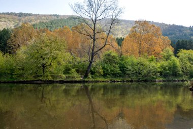 Bulgaristan 'ın başkenti Sofya' nın Pancharevo Gölü yakınlarındaki Iskar Nehri 'nin Bahar Manzarası