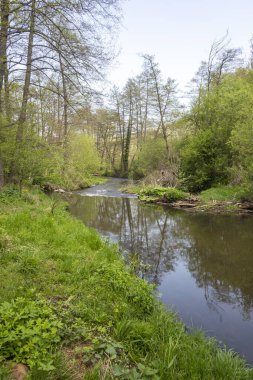 Bulgaristan 'ın başkenti Sofya' nın Pancharevo Gölü yakınlarındaki Iskar Nehri 'nin Bahar Manzarası