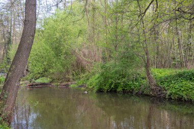 Bulgaristan 'ın başkenti Sofya' nın Pancharevo Gölü yakınlarındaki Iskar Nehri 'nin Bahar Manzarası