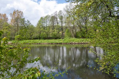 Bulgaristan 'ın başkenti Sofya' nın Pancharevo Gölü yakınlarındaki Iskar Nehri 'nin Bahar Manzarası