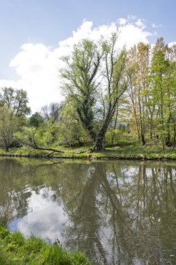 Bulgaristan 'ın başkenti Sofya' nın Pancharevo Gölü yakınlarındaki Iskar Nehri 'nin Bahar Manzarası