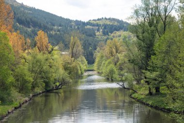 Bulgaristan 'ın başkenti Sofya' nın Pancharevo Gölü yakınlarındaki Iskar Nehri 'nin Bahar Manzarası