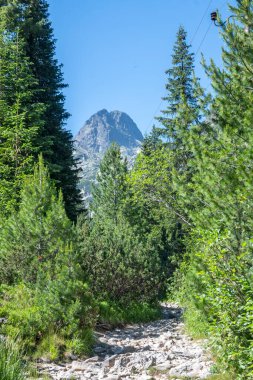 Amazing Summer landscape of Rila Mountain near Malyovitsa hut, Bulgaria