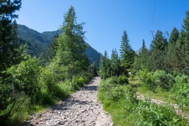 Amazing Summer landscape of Rila Mountain near Malyovitsa hut, Bulgaria