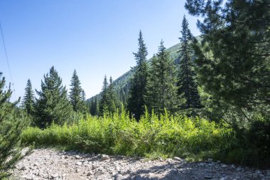 Amazing Summer landscape of Rila Mountain near Malyovitsa hut, Bulgaria