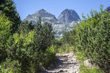 Amazing Summer landscape of Rila Mountain near Malyovitsa hut, Bulgaria