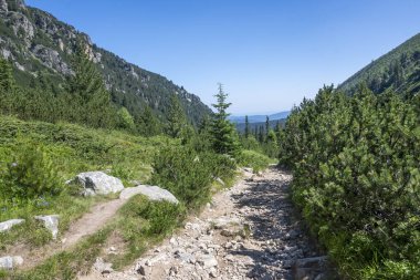 Amazing Summer landscape of Rila Mountain near Malyovitsa hut, Bulgaria