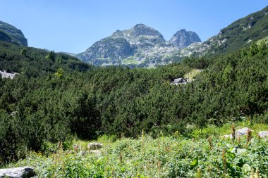 Amazing Summer landscape of Rila Mountain near Malyovitsa hut, Bulgaria