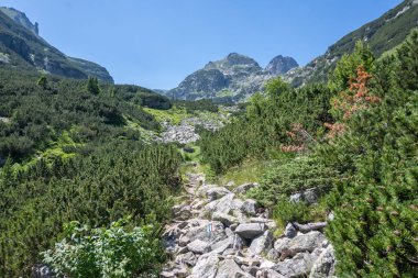 Amazing Summer landscape of Rila Mountain near Malyovitsa hut, Bulgaria