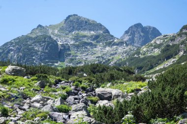 Amazing Summer landscape of Rila Mountain near Malyovitsa hut, Bulgaria