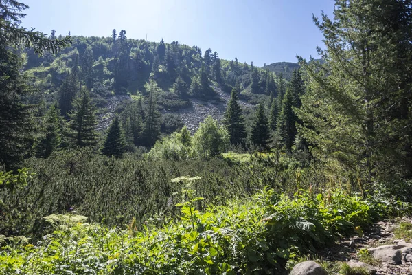 Amazing Summer landscape of Rila Mountain near Malyovitsa hut, Bulgaria