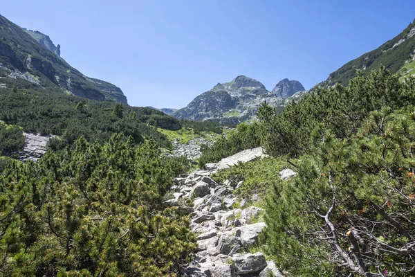 Amazing Summer Landscape Rila Mountain Malyovitsa Hut Bulgaria — Zdjęcie stockowe
