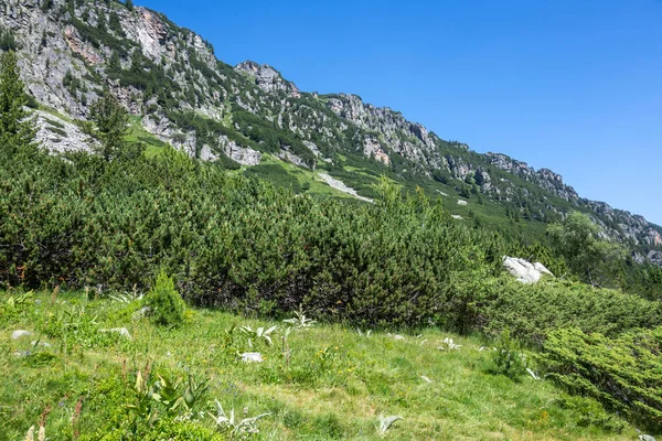 Amazing Summer Landscape Rila Mountain Malyovitsa Hut Bulgaria — 스톡 사진