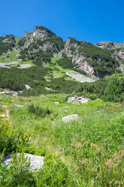 Amazing Summer Landscape Rila Mountain Malyovitsa Hut Bulgaria — Photo