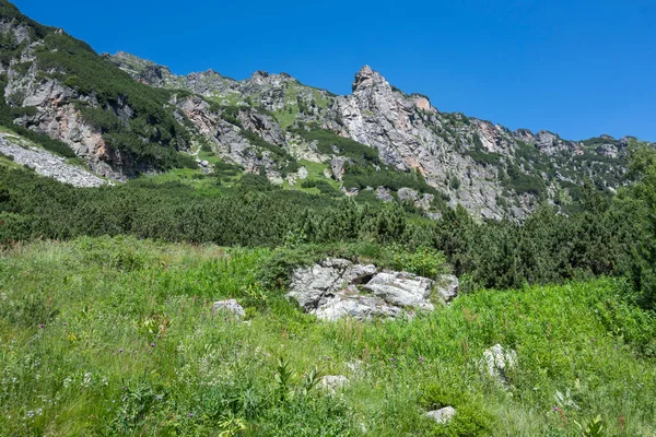 Amazing Summer Landscape Rila Mountain Malyovitsa Hut Bulgaria - Stock-foto