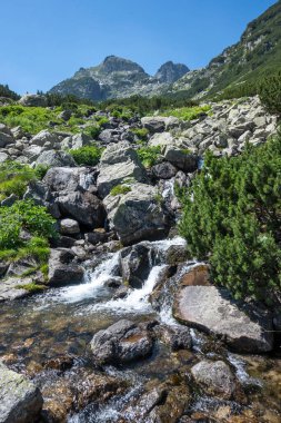 Amazing Summer landscape of Rila Mountain near Malyovitsa hut, Bulgaria
