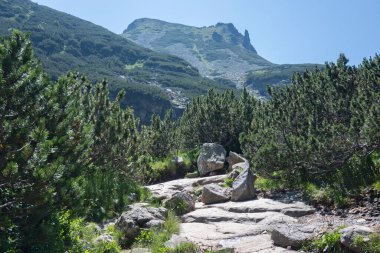 Amazing Summer landscape of Rila Mountain near Malyovitsa hut, Bulgaria