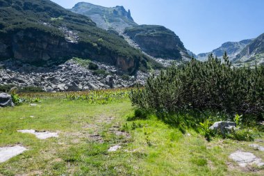 Amazing Summer landscape of Rila Mountain near Malyovitsa hut, Bulgaria