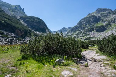 Amazing Summer landscape of Rila Mountain near Malyovitsa hut, Bulgaria