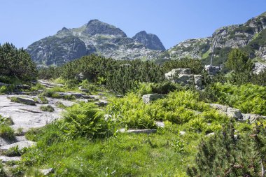 Amazing Summer landscape of Rila Mountain near Malyovitsa hut, Bulgaria