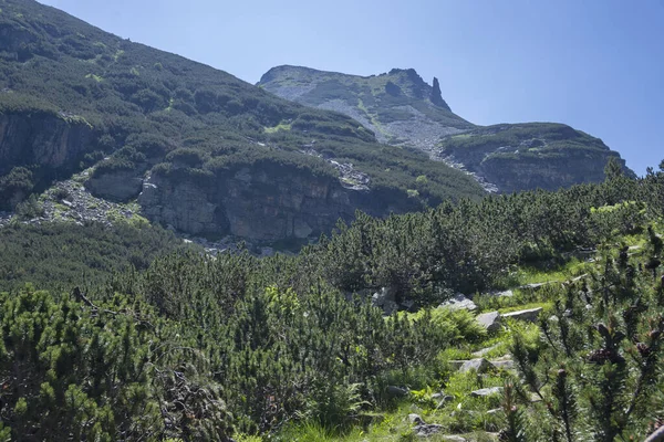 Amazing Summer landscape of Rila Mountain near Malyovitsa hut, Bulgaria