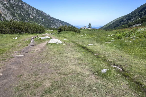 Amazing Summer landscape of Rila Mountain near Malyovitsa hut, Bulgaria