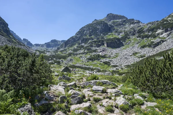 Amazing Summer Landscape Rila Mountain Malyovitsa Hut Bulgaria — Stok Foto