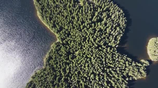 Aerial Summer View Shiroka Polyana Wide Meadow Reservoir Pazardzhik Region — Stock videók