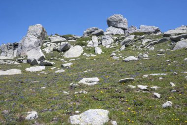 Bulgaristan 'ın Kalin tepeleri yakınlarındaki Rila Dağı' nın İnanılmaz Yaz Manzarası