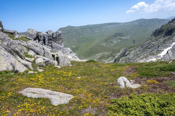 Amazing Summer Landscape Rila Mountain Nær Kalin Topper Bulgaria – stockfoto