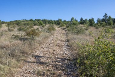 Rudina Dağı, Pernik Bölgesi, Bulgaristan 'ın İnanılmaz Yaz Manzarası