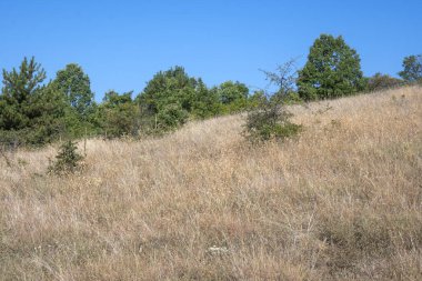 Rudina Dağı, Pernik Bölgesi, Bulgaristan 'ın İnanılmaz Yaz Manzarası