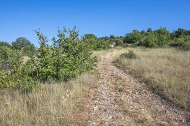 Rudina Dağı, Pernik Bölgesi, Bulgaristan 'ın İnanılmaz Yaz Manzarası