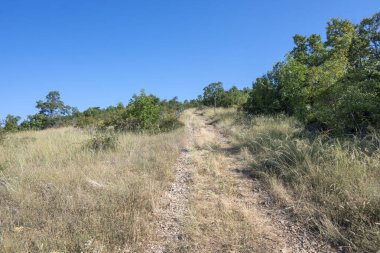 Rudina Dağı, Pernik Bölgesi, Bulgaristan 'ın İnanılmaz Yaz Manzarası