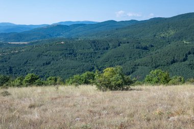 Rudina Dağı, Pernik Bölgesi, Bulgaristan 'ın İnanılmaz Yaz Manzarası