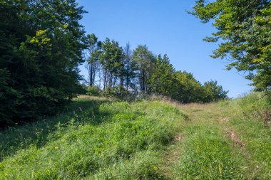 Bulgaristan 'ın Pernik Bölgesi, Kamenititsa zirvesi yakınlarındaki Erul dağının yaz manzarası