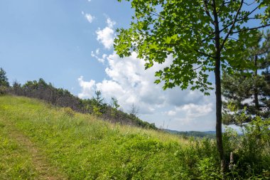 Bulgaristan 'ın Pernik Bölgesi, Kamenititsa zirvesi yakınlarındaki Erul dağının yaz manzarası