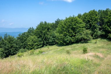 Bulgaristan 'ın Pernik Bölgesi, Kamenititsa zirvesi yakınlarındaki Erul dağının yaz manzarası