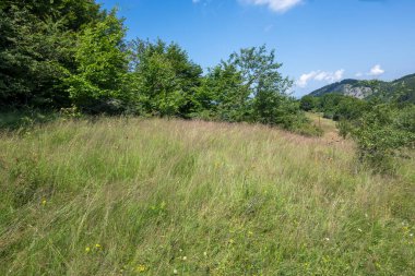 Bulgaristan 'ın Pernik Bölgesi, Kamenititsa zirvesi yakınlarındaki Erul dağının yaz manzarası