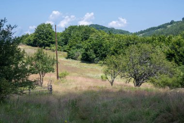 Bulgaristan 'ın Pernik Bölgesi, Kamenititsa zirvesi yakınlarındaki Erul dağının yaz manzarası