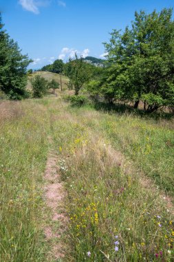 Bulgaristan 'ın Pernik Bölgesi, Kamenititsa zirvesi yakınlarındaki Erul dağının yaz manzarası